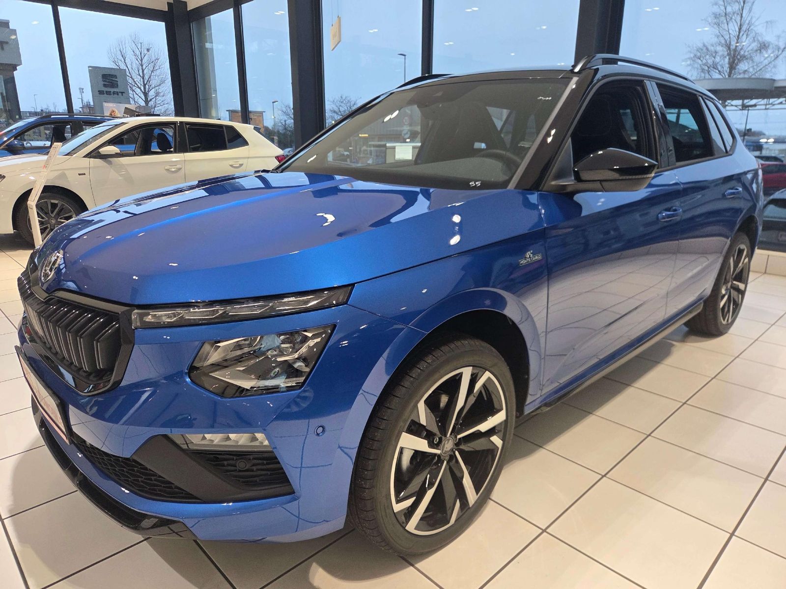 SKODA KAMIQ Monte Carlo