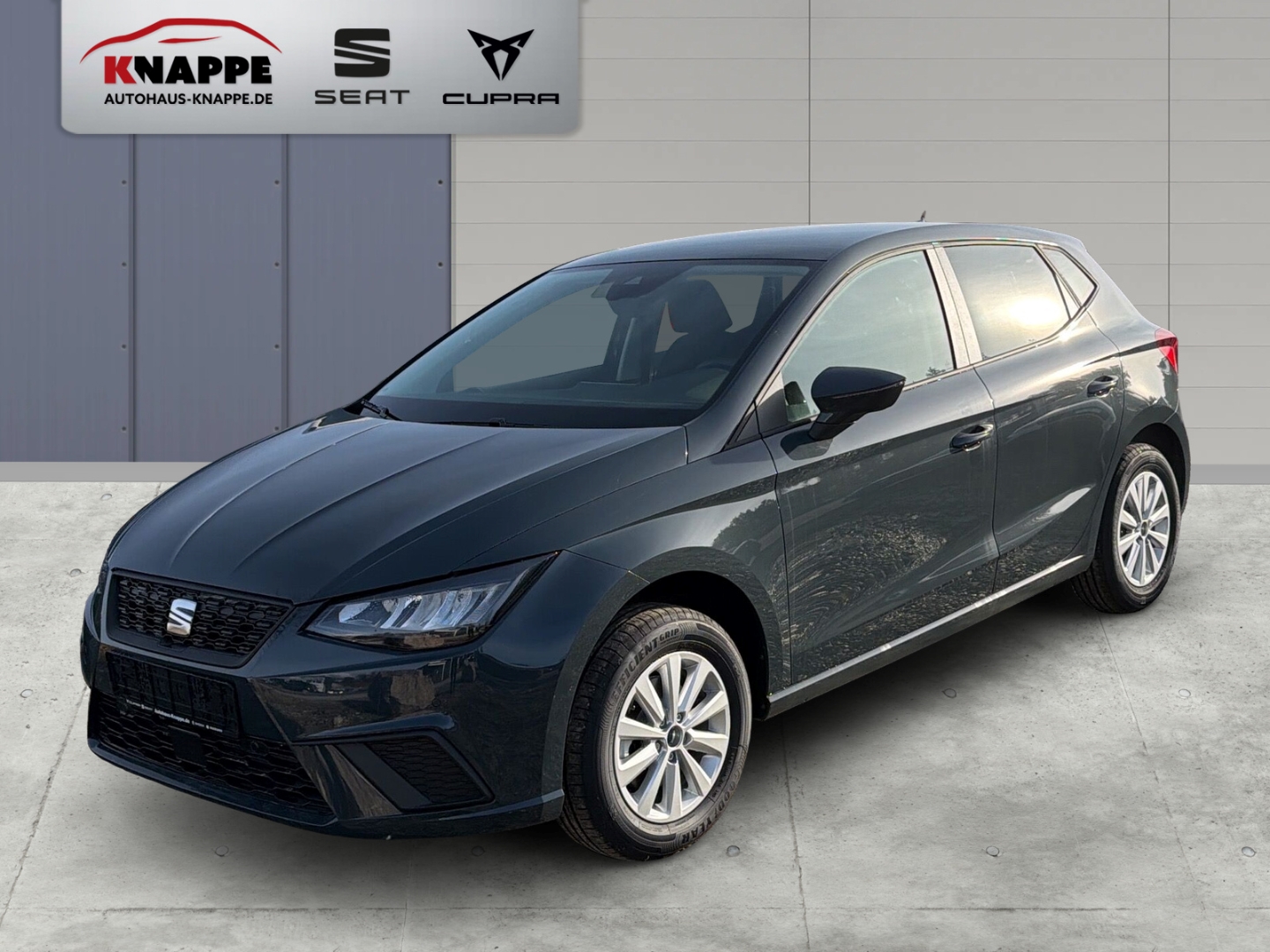 Seat Ibiza Road Edition 1,0 TSI Kamera Einparkhilfe LED Sitzheizung