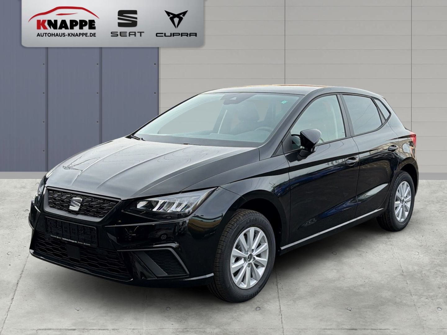 Seat Ibiza Road Edition 1,0 TSI Kamera Einparkhilfe Sitzheizung