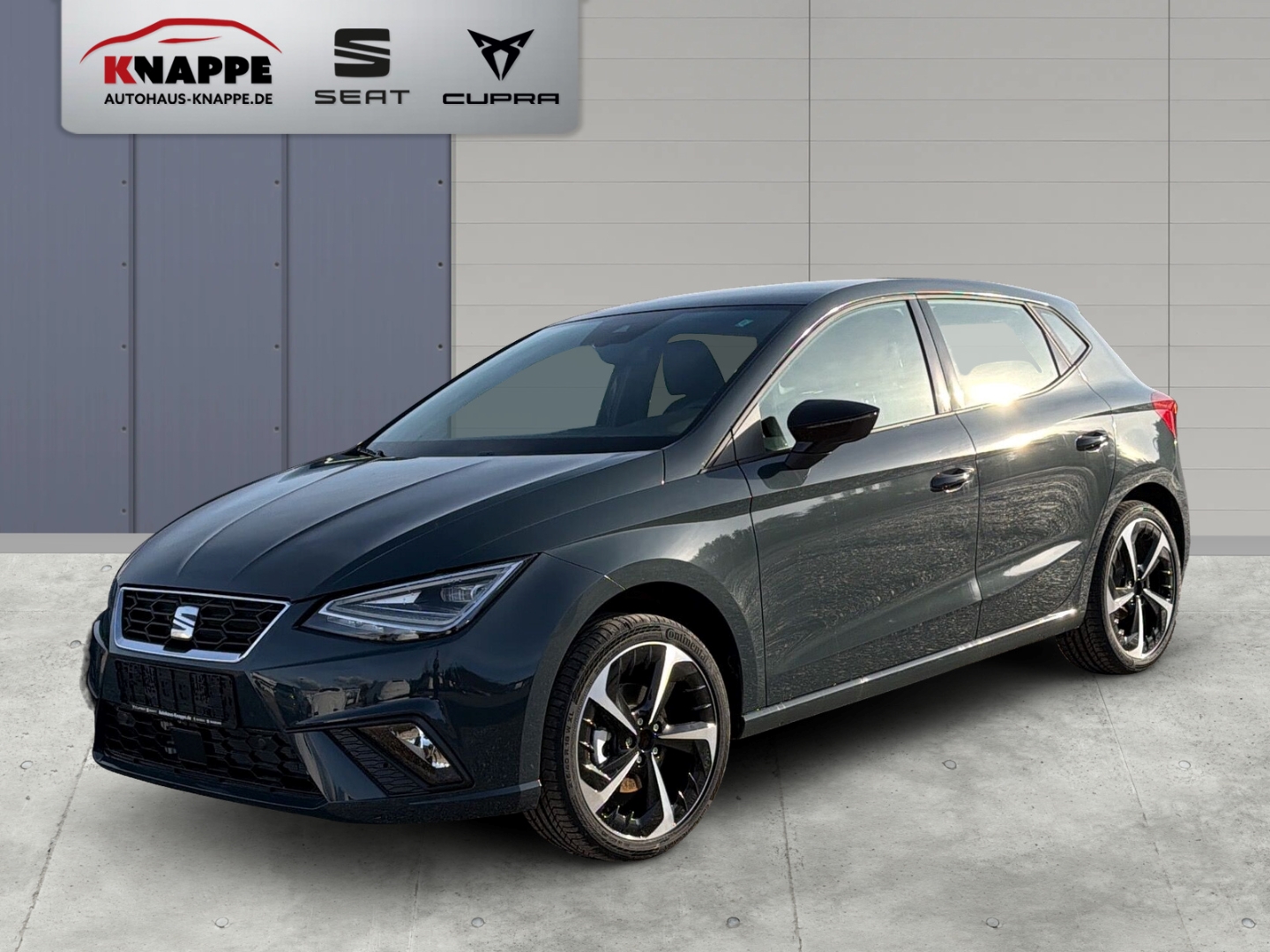 Seat Ibiza FR 1,0 TSI Navi LED Sitzheizung Kamera Einparkhilfe