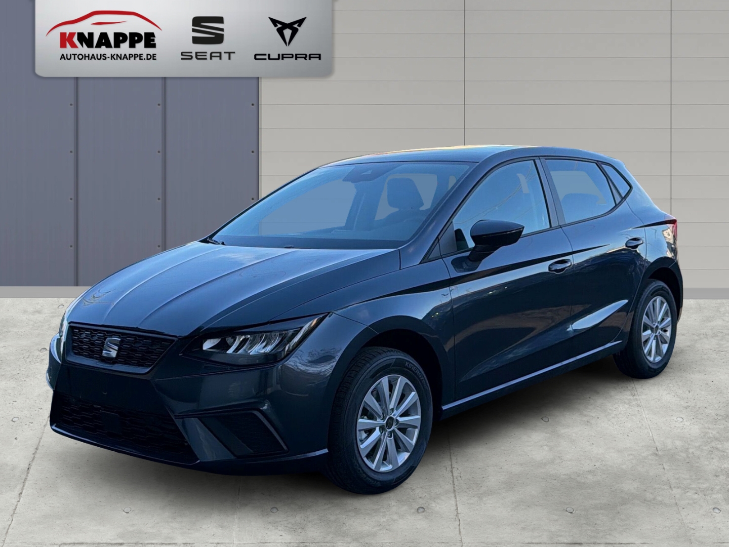Seat Ibiza Road Editin 1,0 TSI DSG Navi Kamera Sitzheizung