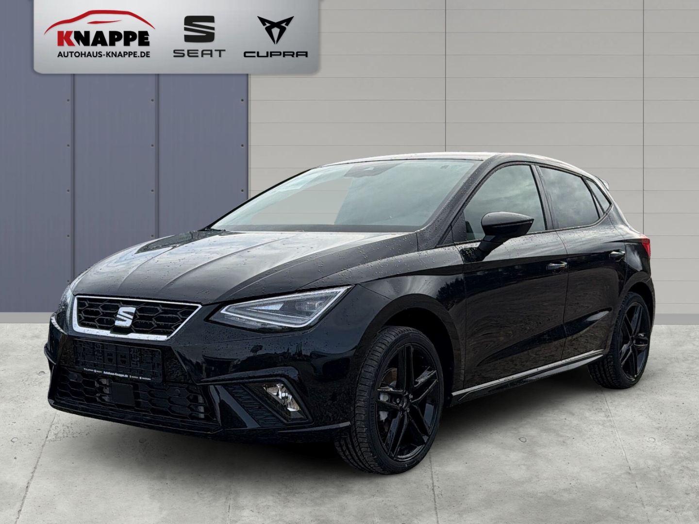 Seat Ibiza FR Black Edition Navi LED Kamera Kessy Sitzheizung