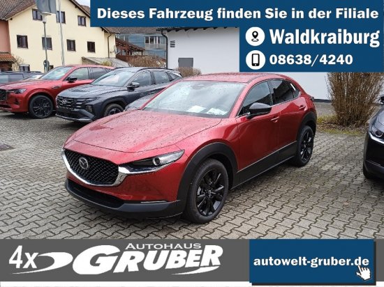 Mazda CX-30 2.5L e-SKYACTIV G Automatik Homura